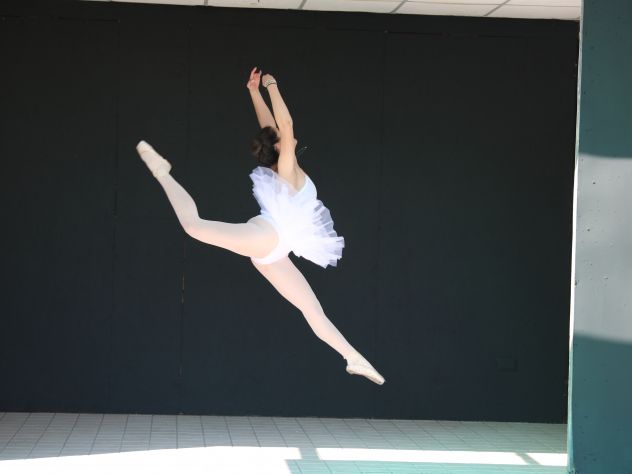 ANIMATORE TURISTICO- COREOGRAFI/ BALLERINI - Foto 4