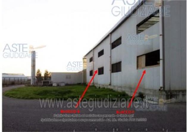 IMMOBILI-IMMOBILE INDUSTRIALE-Località Sa Mussurilia, Bia Serra Gureu snc - Foto 3