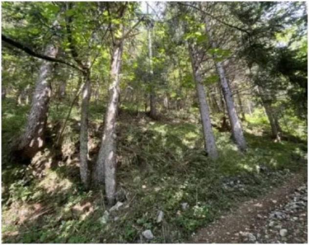 Immobile in asta di 30510 m² in vendita a Colere - Foto 5