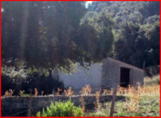Immobile in asta di 1204078 m² in vendita a Geraci Siculo - Foto 7
