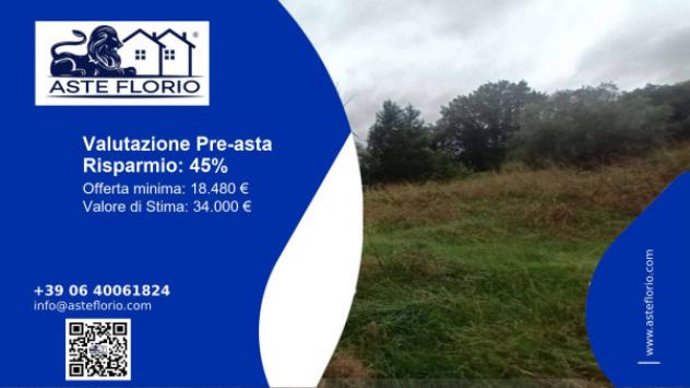 Immobile in asta di 11283 m² in vendita a Vinci