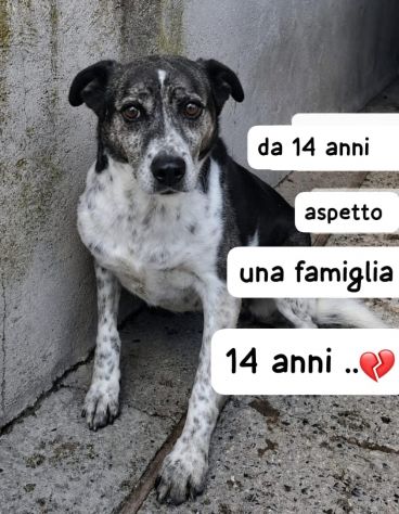 SALLY 14 ANNI taglia media
