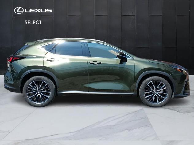 Lexus NX Hybrid Luxury 4WD MY22 - Foto 4