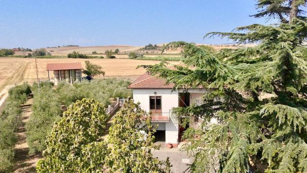 Villa in vendita a Rosignano Marittimo - Foto 4