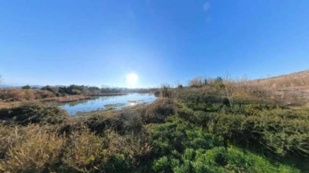Immobile in asta di 52000 m² in vendita a Grottazzolina - Foto 2