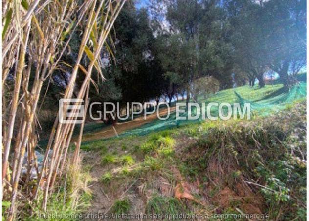 Terreno di 5340 mq  in vendita a Stefanaconi - Rif. 4558271