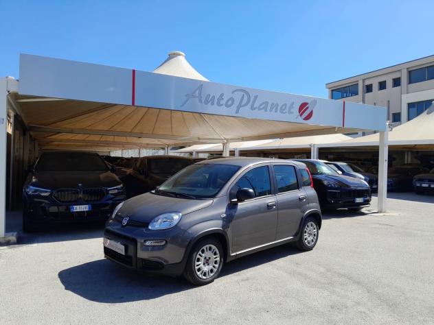 Fiat Panda 1.0 FireFly S&S Hybrid - Foto 2