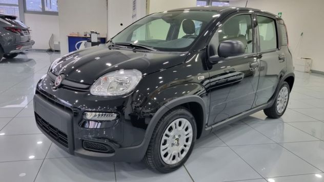 Fiat Panda Hybrid