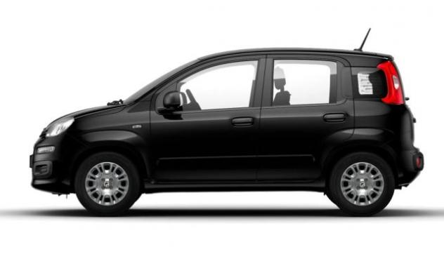 FIAT Pandina 1.0 FireFly 65 CV Hybrid Icon rif. 23865387 - Foto 3