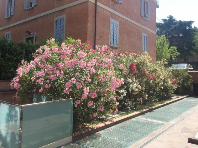 Villa in vendita a Bologna, Saragozza - Foto 18