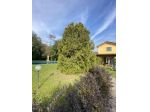 Casa singola in vendita a Palvotrisia - Castelnuovo Magra 297 mq  Rif: 1297262