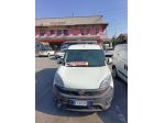 Fiat Doblo Dobl1.3 MJT PL-TN Cargo Maxi Lamierato PTT 750