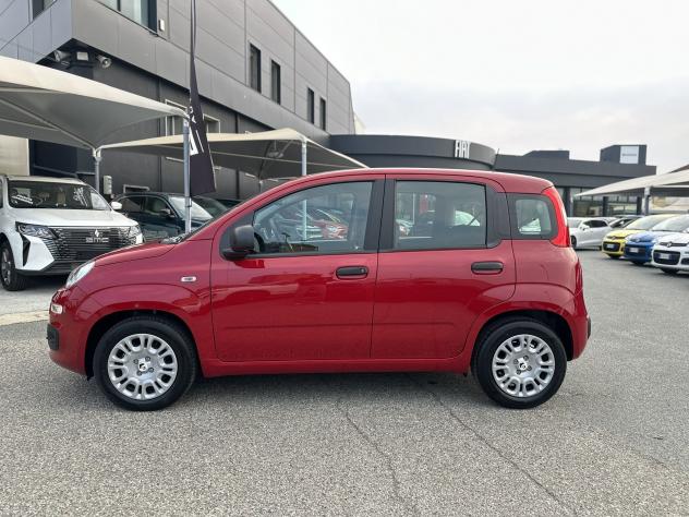 FIAT Pandina Pandina 1.0 firefly hybrid Icon s&s 70cv - Foto 4