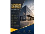 Capannone commerciale in vendita a Pietrasanta 1612 mq  Rif: 1414817