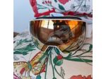 MASCHERA DA SCI/SNOW IN PERFETTA CONDIZIONE VENDO