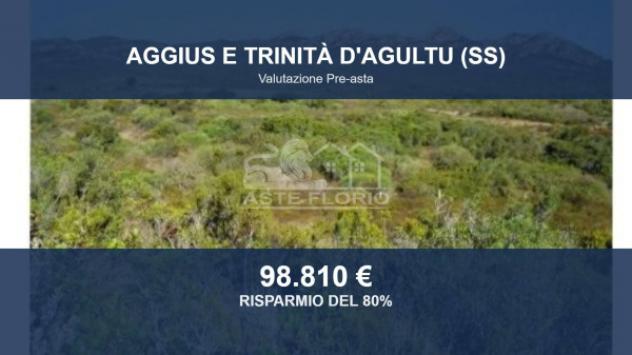 Immobile in asta di 786308 m² in vendita a Aggius