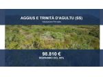 Immobile in asta di 786308 m² in vendita a Aggius