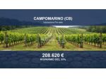 Immobile in asta di 61035 m² in vendita a Campomarino