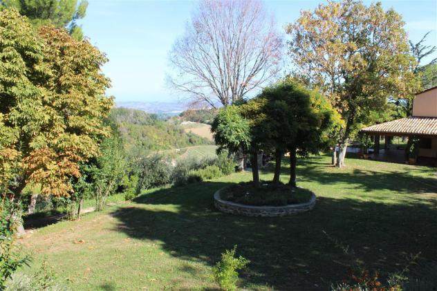 Casolare ristrutturato con vista panoramica, uliveto e garage – Un’oasi di pace tra colline e mare - Foto 19