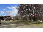 Terreno Agricolo - Alatri . Rif.: Cod. rif 3297186VCG