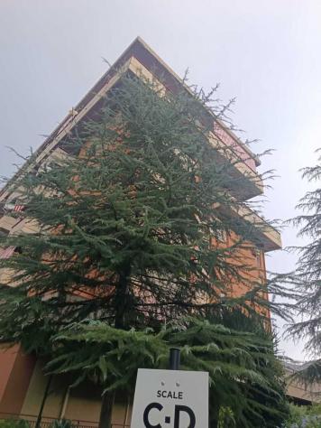 Bilocale in vendita a Palermo - Foto 10