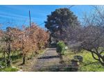 IMMOBILI-IMMOBILE RESIDENZIALE-Via Tarderia, 112, 95030 Pedara CT, Italia