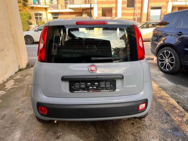 FIAT Panda 1.0 FireFly S&S Hybrid City Life 5 POSTI rif. 23741779 - Foto 5