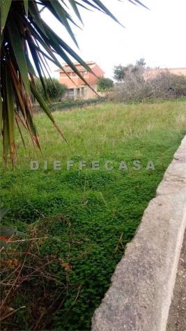 V1900 - In vendita a Petrosino casa singola con terreno - Foto 4