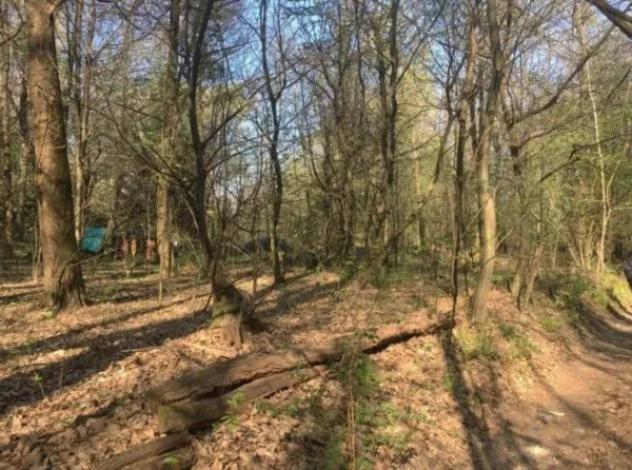 Immobile in asta di 2600 m² in vendita a Lipomo - Foto 2