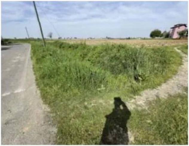 Immobile in asta di 5923 m² in vendita a Nogara - Foto 6