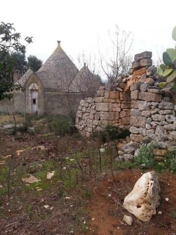 TRULLO STORICO CON TERRENO DI MQ 8.000 - ALTO SALENTO - Foto 2