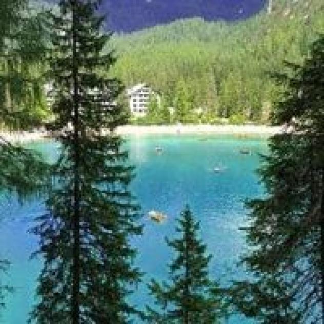 Camping Auronzo Sas di Zandegiacomo Mistrotione Silvia & C. - Foto 3