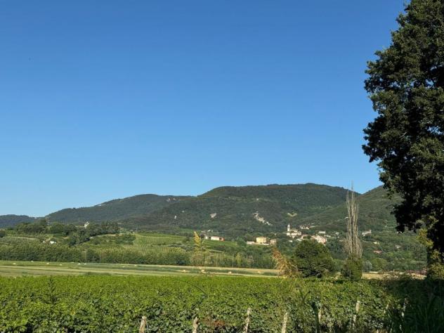 Terreno edificabile in vendita a Barbarano Mossano - Foto 9