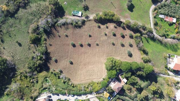 Agricolo in Via Fontanelle - Foto 2