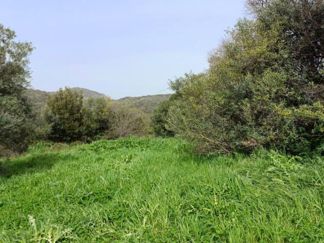 Agricolo in Via Casale dell'Oliveto - Foto 8