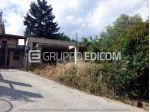 Terreno in vendita a Dipignano - Rif. 4541352