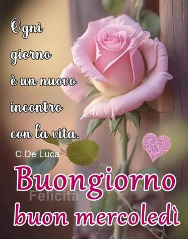 Giovane amante Tel:3271418854
