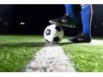 ANIMATORE SPORTIVO
