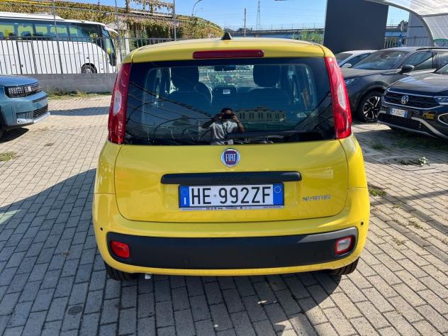 FIAT Pandina Pandina 1.0 firefly hybrid Icon s&s 65cv - Foto 10