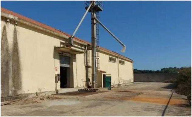 Immobile in asta di 1508 m² in vendita a Sanluri - Foto 4