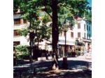Albergo Villa Ombrosa