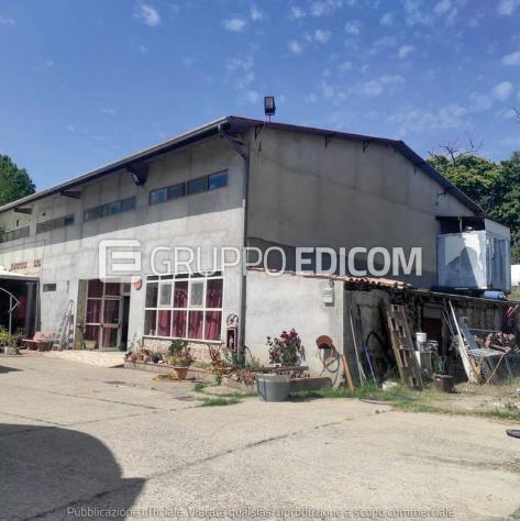 Laboratori per arti e mestieri di 291 mq in vendita a Cotronei - Rif. 4545790