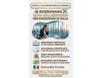 Consulente e