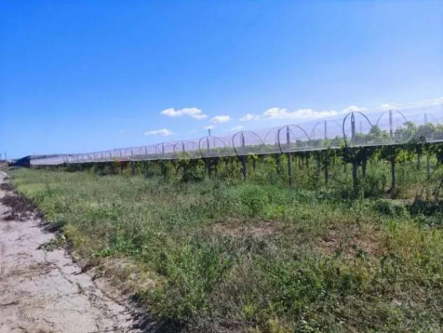 Immobile in asta di 23925 m² in vendita a Licodia Eubea - Foto 4