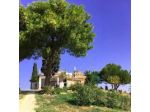 Helimos B&B