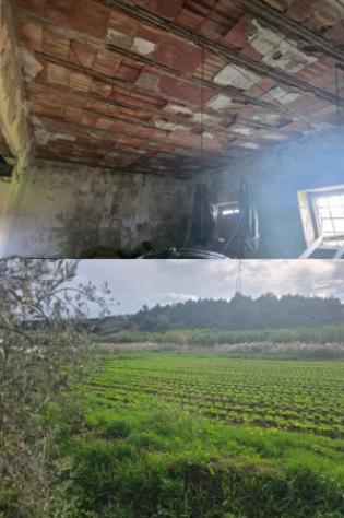 Immobile in asta di 76860 m² in vendita a Tursi - Foto 7