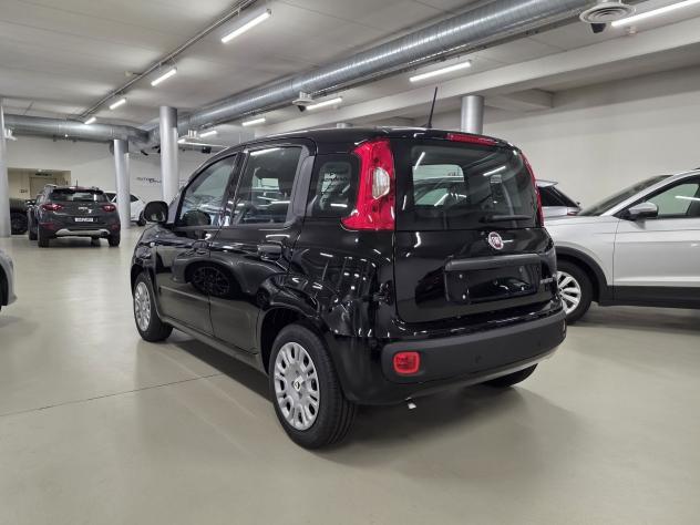 FIAT Pandina Pandina 1.0 firefly hybrid Icon s&s 65cv con BONUS EASY GO' - Foto 5