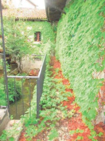 Immobile in asta di 258 m² con più di 5 locali in vendita a Dogliani - Foto 3
