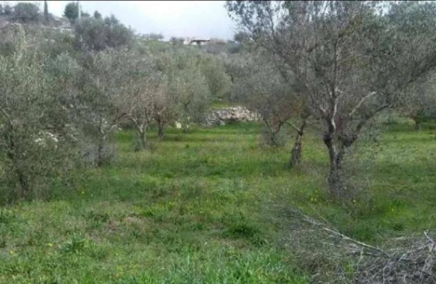 Immobile in asta di 222 m² con più di 5 locali in vendita a Ragusa - Foto 11