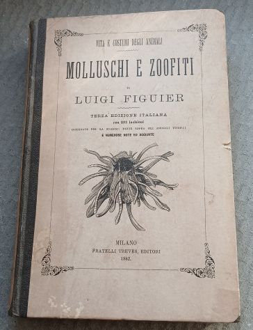 Molluschi e Zoofiti" di Luigi Figuier, Ed. F.lli Treves 1882.